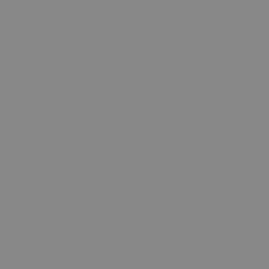 1024px-Solid_grey.svg